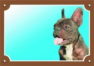 Farbschild Achtung Hund, dunkle französische Bulldogge